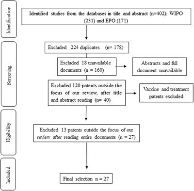 N gene covid test meaning